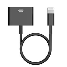 Lightning to 30 Pin Adapter for iPhone, Apple MFi Certified 8-Pin to 30-Pin Fe