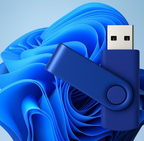 Clé USB d'installation Windows 11 Pro 64 bits + Clé d’Activation