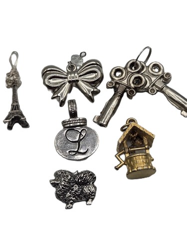 6 Charming Charms Eiffel Tower Bow Keys L Wishing Well Chow Dog Silver & Gold