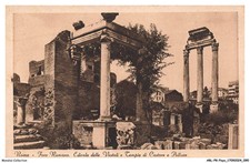 ARLP8-0536-ITALY - ROME - Roman Bull - Edicola Delle Vestali And Temple Of Cas