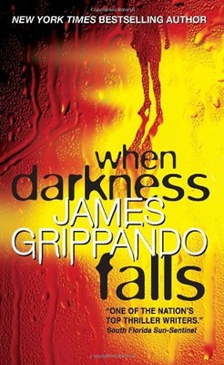 When Darkness Falls (Swyteck) - Grippando, James