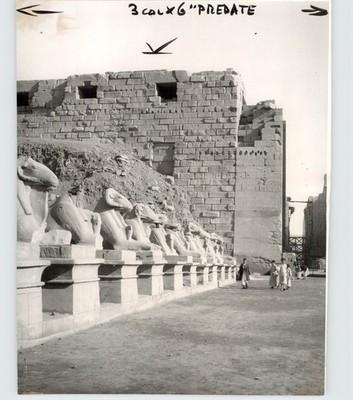 Ram Headed Sphinxes Karnak Egypt Archaeology History 1950 Press Photo