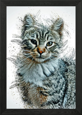 Katze niedliches Tier gerahmtes Wandbild Poster Leinwanddruck Bild