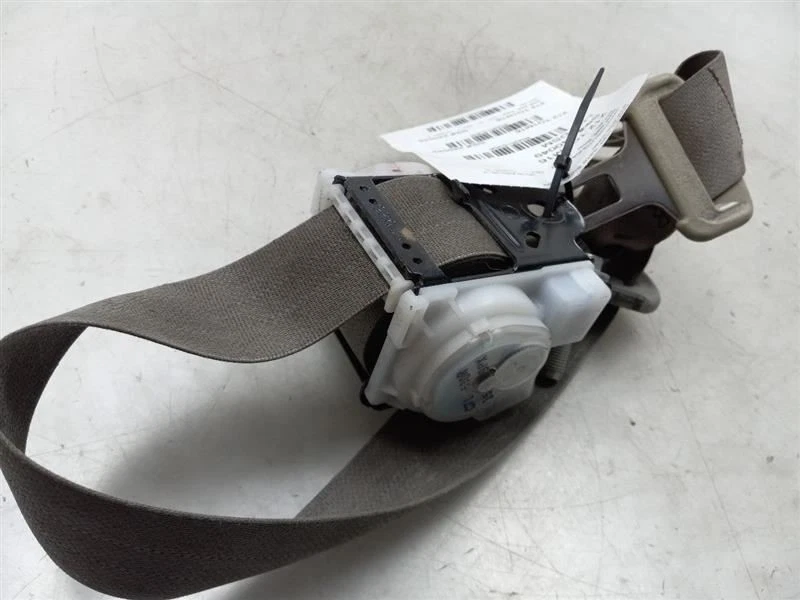 Toyota Prius V 2016 lado del pasajero conjunto de cinturón de seguridad trasero Foto 2 de 4