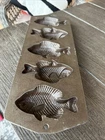 VINTAGE LODGE USA CAST IRON FISH MOLD CORNBREAD 5PP2 MUFFIN PAN EUC