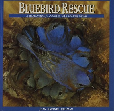Bluebird Rescue: Country Life Nature Guide (Harrowsmith Country Life Nature ...