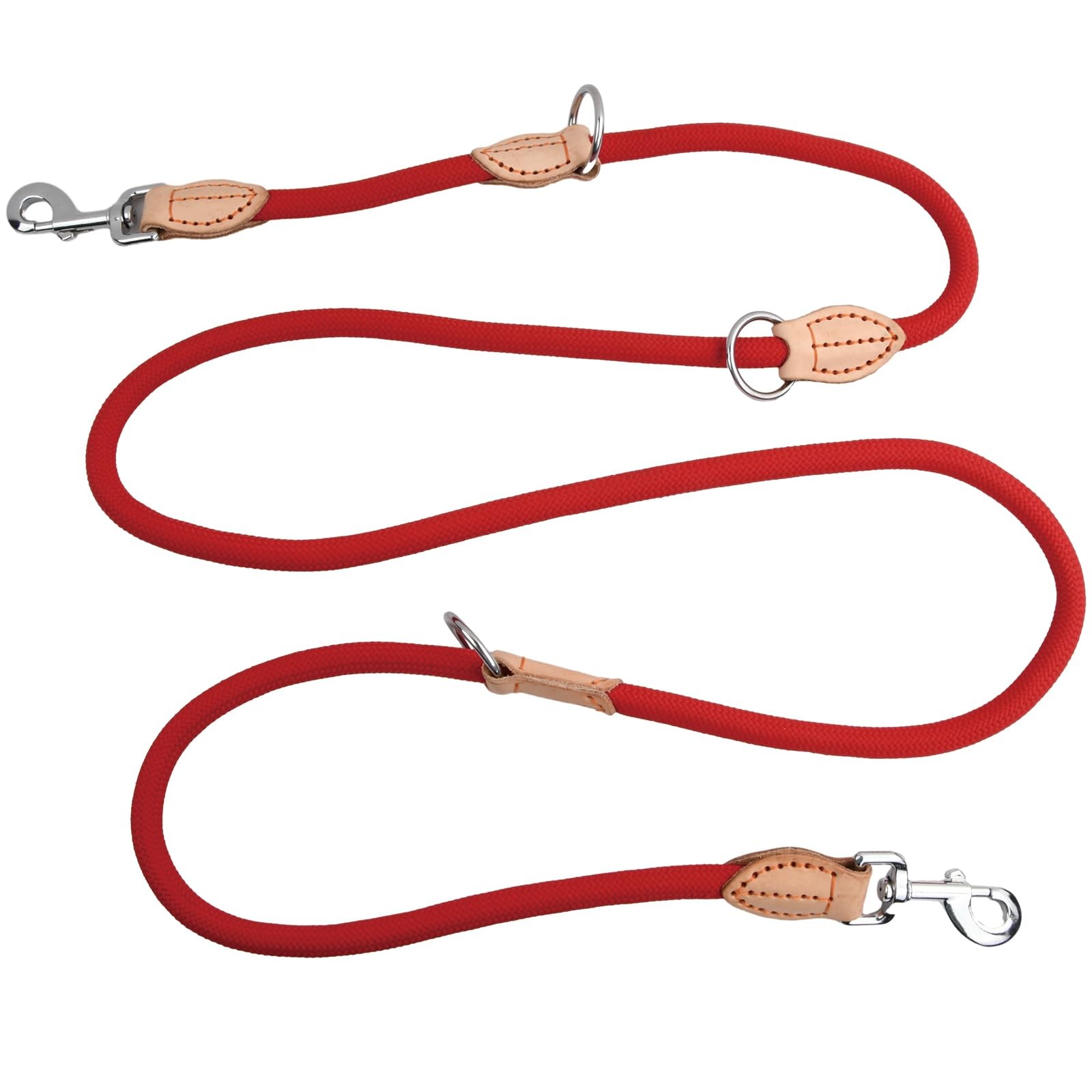 Laisse pour chiens en nylon de qualité supérieure 2 m avec 2 mousquetons