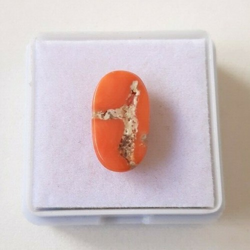 SALE!!! 1'Piece 100%Natural Japanese coral cabochon,Mediterranean Loose gemstone - Picture 6 of 6