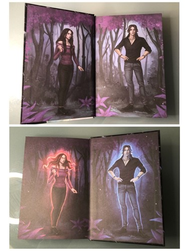 Bookish Box Obsidian & Onyx A Lux Novel Books 1&2 By Jennifer L. Armentrout - Picture 7 of 19