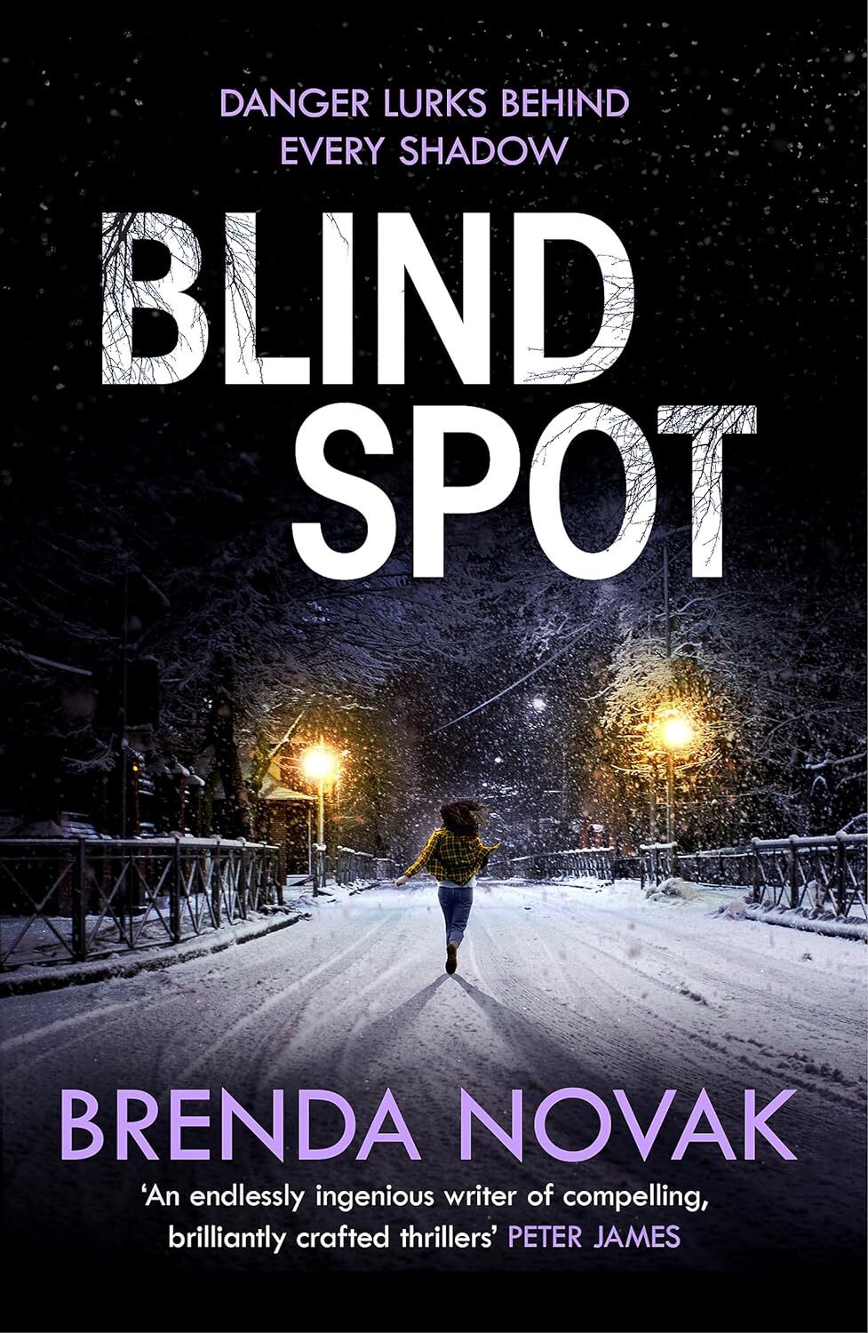 9781472241030 Blind Spot: A unputdownable new thriller to keep y...ng all night!