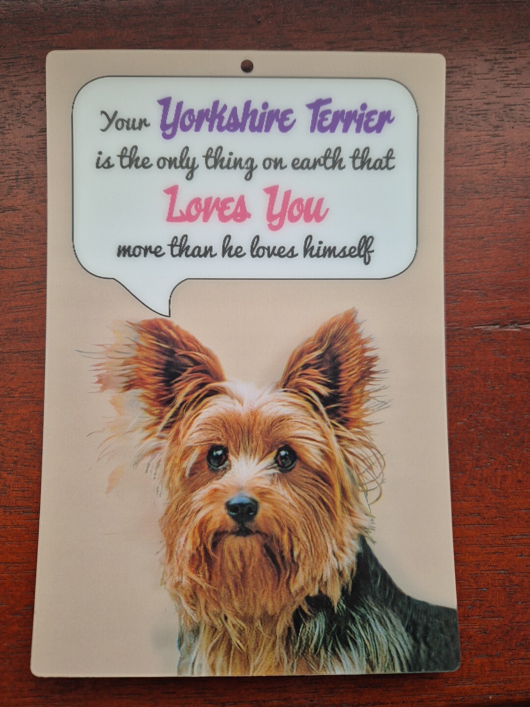 Yorkshire Terrier dog sign Terriers LOVE sign dogs quote funny Yorkie Yorkies