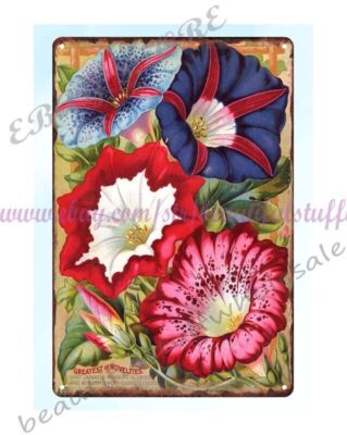 1896 Morning glories Flowers Vegetables Fruits John Lewis Childs metal tin