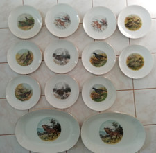 Mitterteich Bavaria Jagd Service Jäger Wildschwein Hase Fasan Auerhahn Hirsch