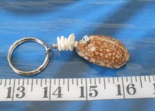  Seashell Keychain  Cowrie Shell  Spotted Brown/Tan w/White Seashell Chips 