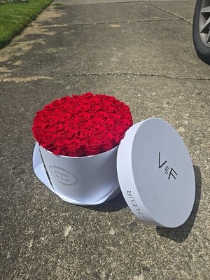 Venus et Fleur Red Roses Flower Box Arrangement Large White Container 40+ Roses