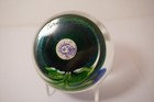 Exquisite Signed Orient & Flume 1979 DRAGONFLY & FLOWER Art Glass Paperweight — photo 6