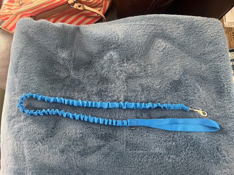 Pet Safe Blue Color Pet Leash Excellent Condition