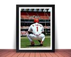 Framed Ozzie Smith Photo Picture St. Louis Cardinals - 8x10 or 11x14 (W6)
