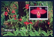 Blocco Jersey 2004 Nature Flower Orchid Phragmipedium Jason Fischer MNH aXF Z3887