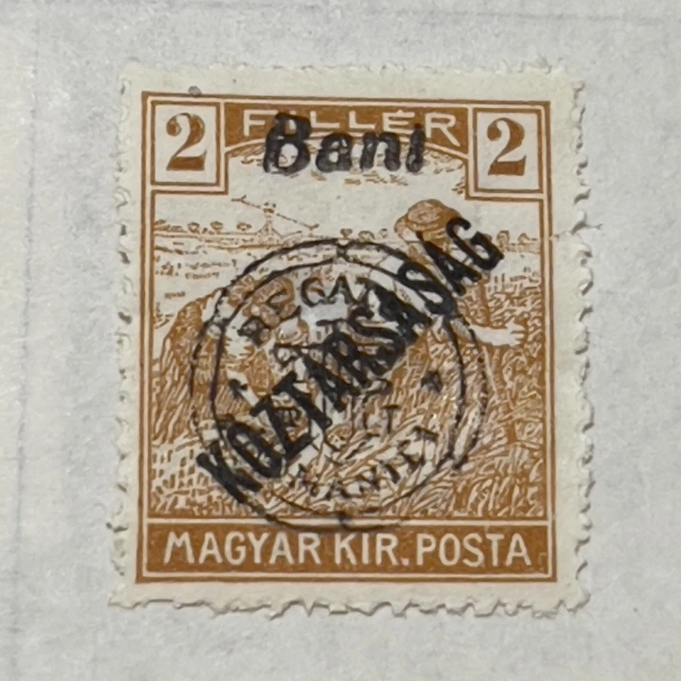 ERROR 1919 HUNGRÍA COMO NUEVO SELLO MH #6N29 TRIPLE SOBREIMPRESIÓN CON TINTA FALTA "BANI" Foto 2 de 3