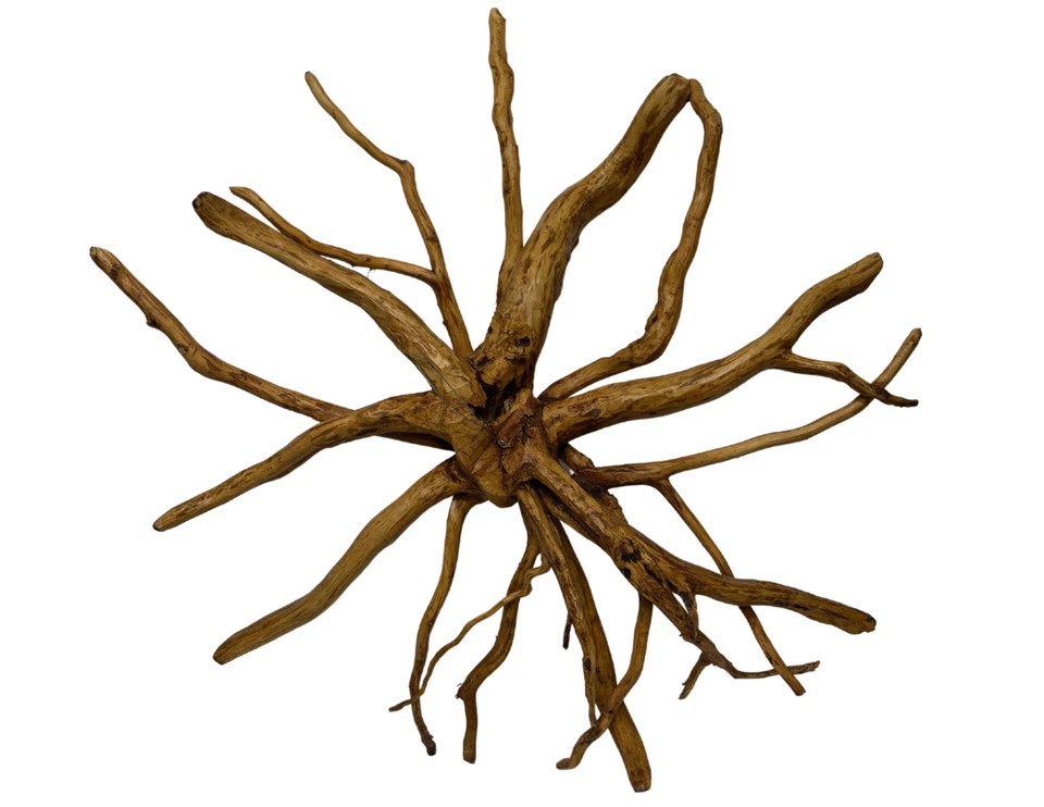 Огромная маска ручной работы Madusa Teak Tree Spirit SUN GODDESS резное лицо корень тика тики - Изображение 2 из 4