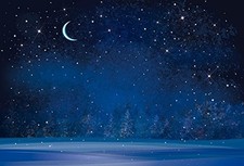 Winter Night Snowfall Backdrop 7x5ft - Snowflake Starry Sky Pine Forest Decor
