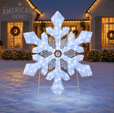 Member's Mark 42" Pre-Lit Crystal Iced Snowflake w/Color Changing LED Lights