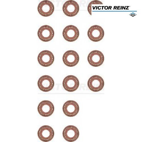 Dichtungssatz, Ventilschaft Victor Reinz 12-29491-01 FüR Vw-image