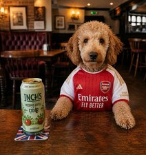 Personalised Pet Photos