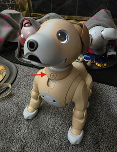 Sony Aibo Ers 1000 | eBay