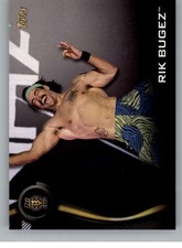 2019 Topps WWE NXT Wrestling Trading Cards Roster Bronze or Base Pick From List