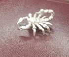 31.4 Grams .999 Fine Silver Scorpion Hand Pour, Detailed Bullion Collectible