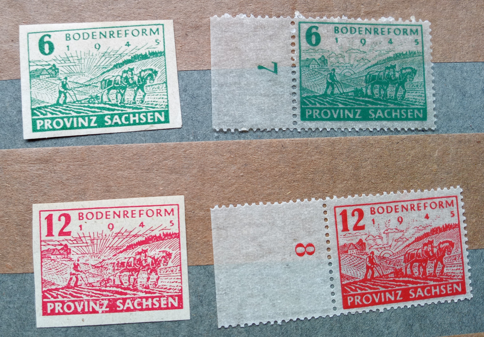 Bild 11 von 14