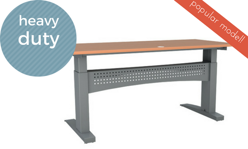 Electric Standing Desk Heavy Duty Bosch Motor Beech Top Silver Frame 501 11