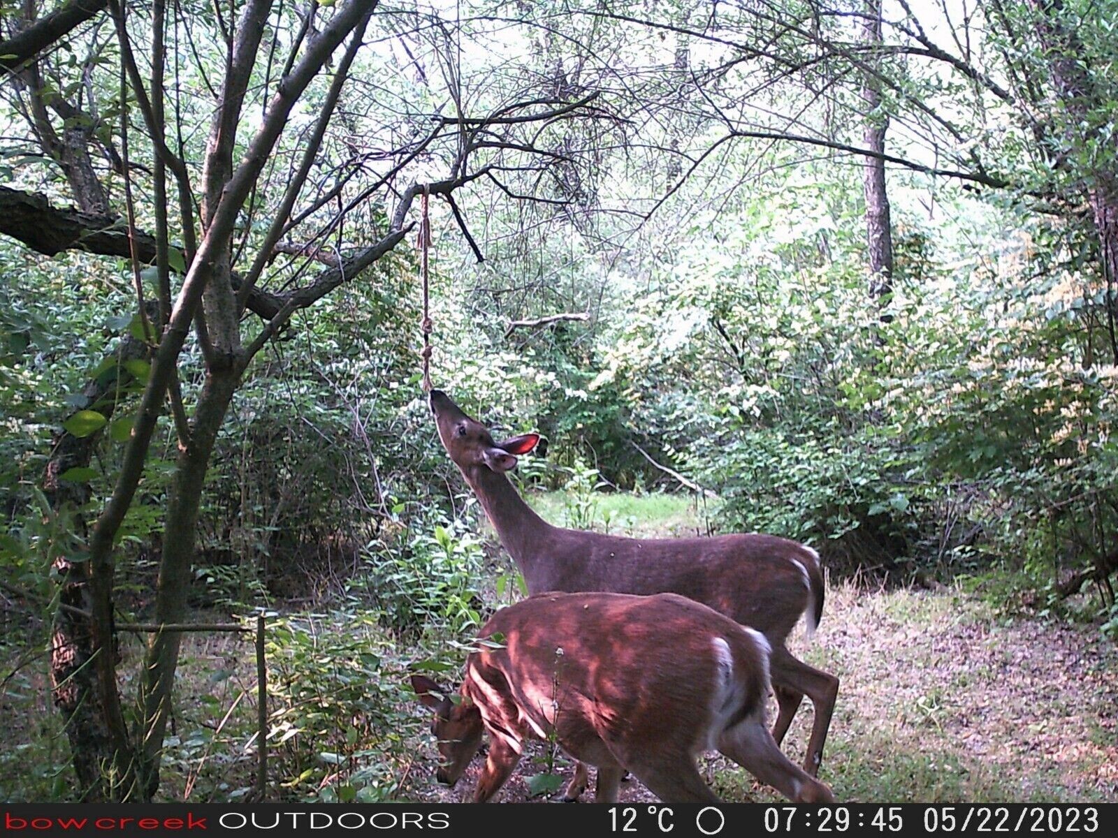 Picture 4 of 6
