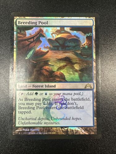 Magic the Gathering MTG Card Breeding Pool Gatecrash 240/249 Foil Rare MP JL