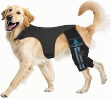 Dog Knee Brace for Torn ACL Hind Leg, XL Dog Leg Braces for Back Leg Support wit