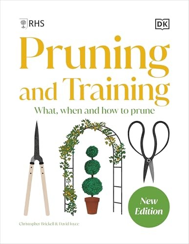 Rhs Pruning & Training - Image 14