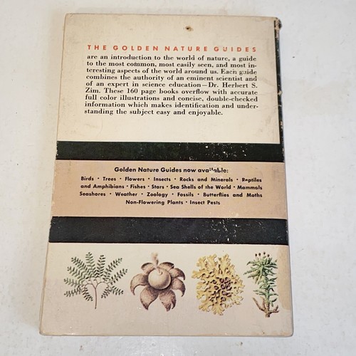 1967 Non-Flowering Plants A Golden Nature Guide Mushrooms Ferns Mosses - Picture 16 of 17