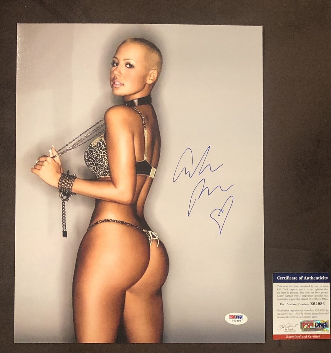Amber Rose ADULT STAR Legend SIGNED 11x14 Photo AUTOGRAPH Sexy Booty PSA  COA