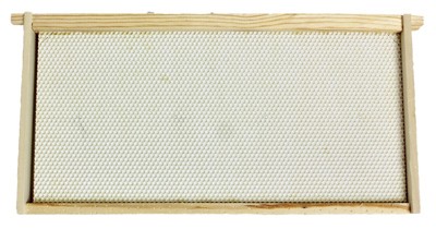 Large Beehive Frame, Wood -WWFFD-101