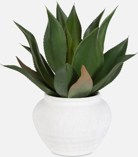 Uttermost 60235 Tierra Agave 24" Tall Ceramic Faux Flora Planter - Off White - Picture 3 of 3