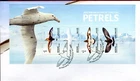 2024 AAT Australian Antarctic Petrels (Mini Sheet) FDC - Kingston Tas 7050 PMK