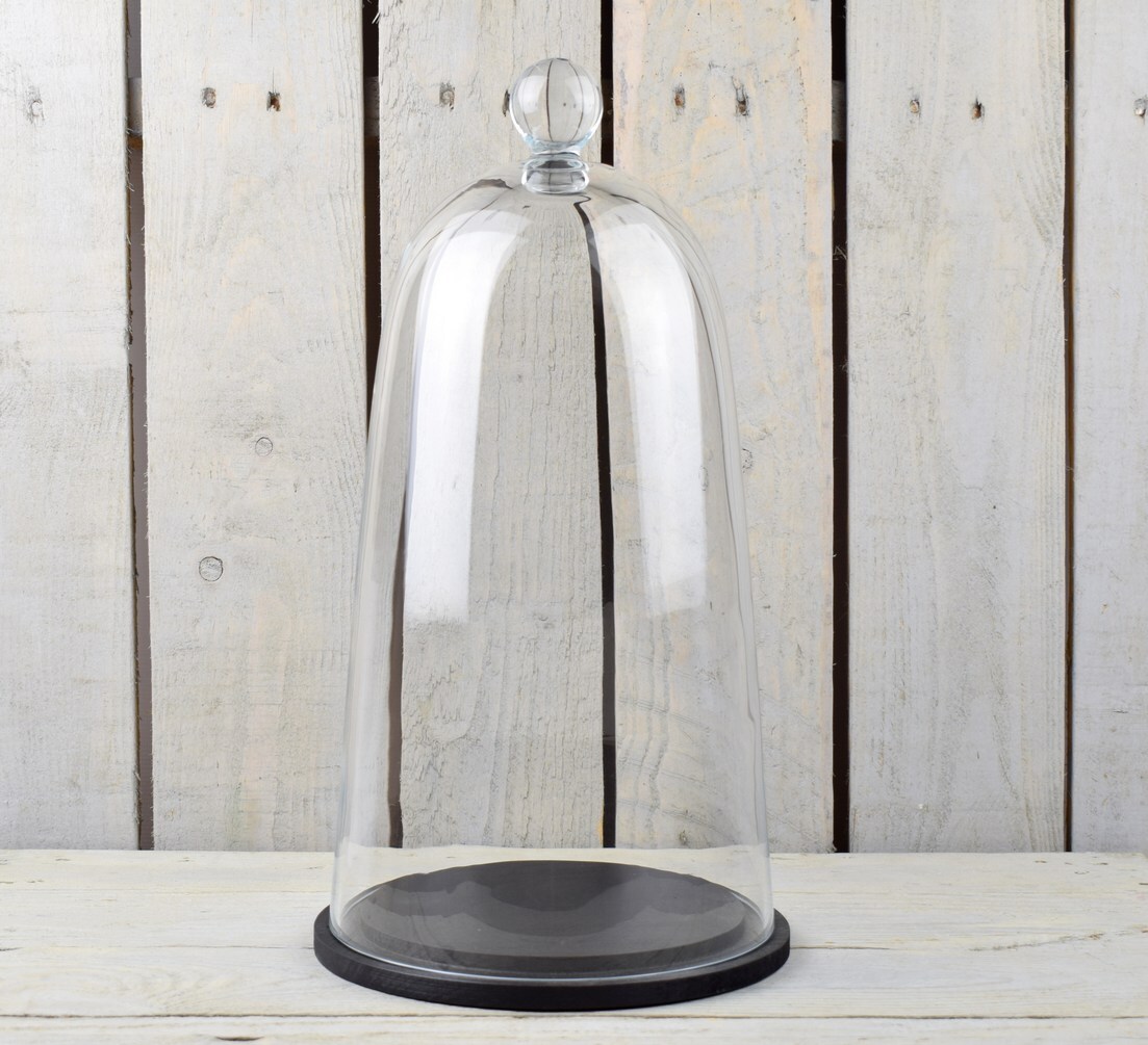 EMH Large Mouth Blown Glass Display Cover Cloche Bell Dome With Black Base H:...