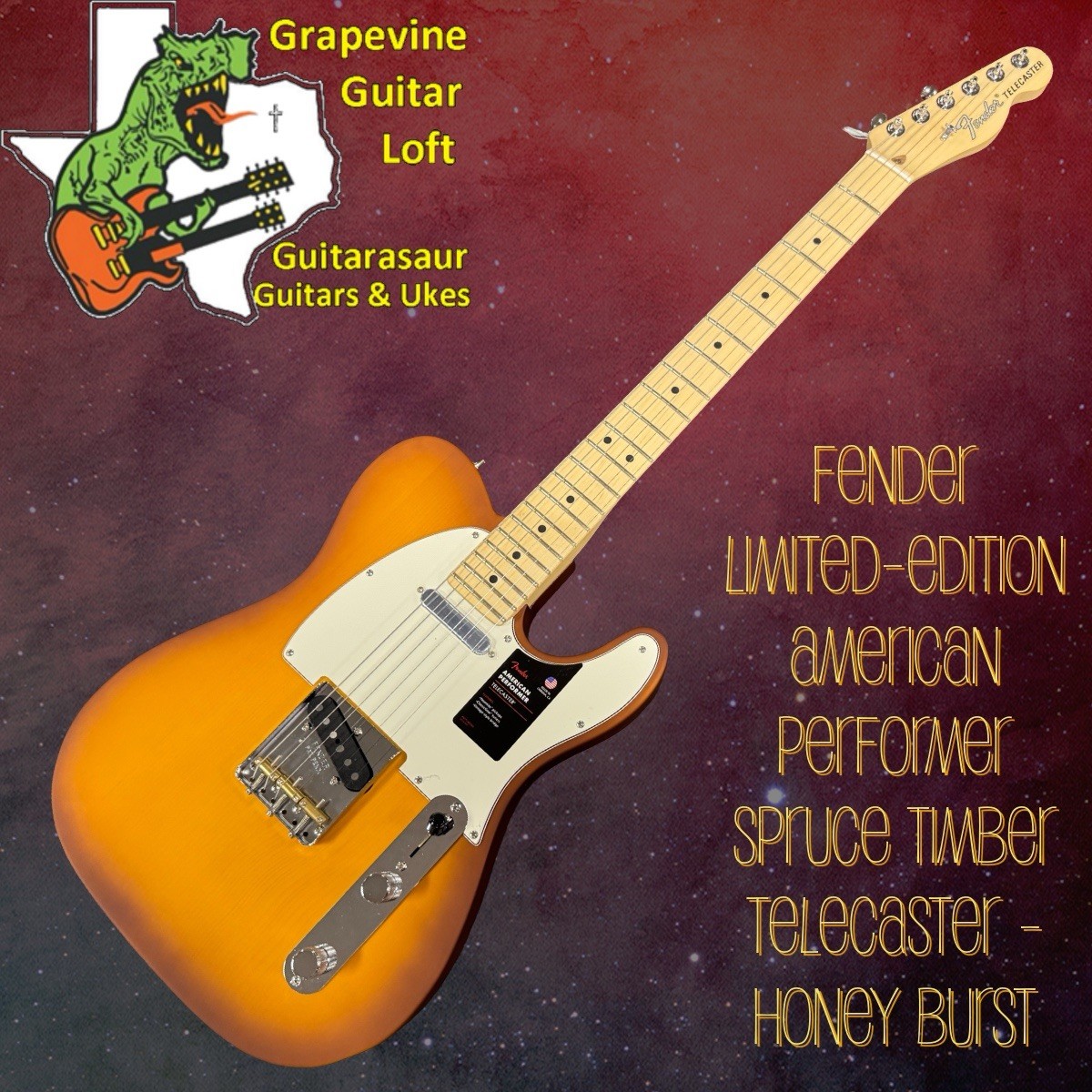 Fender American Performer Spruce Telecaster RW FB Electric Guitar