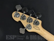 Sandberg California TM5 Bass 5-string Virgin White High Gloss Used