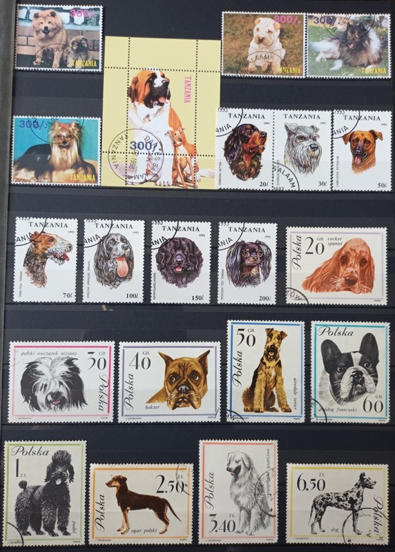 DOGS. HUNTING DOGS. 163 STAMPS (24 COMPLETE ISSUES) + 6 BLOCK. LOT IN GERMANY