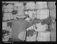 Photo:La Pryor Texas 1939 Spinach Packing Refrigerator Car Agriculture