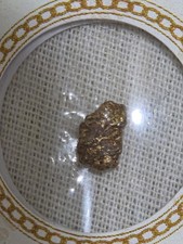 Goldwise Sperrins, Ireland 0.22g Gold Nugget In Certficate Of Authenticity 20-22