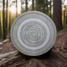 EL VERDE CASUAL IRONSTONE 10" DINNER PLATE GREEN SPIRAL MAX SCHONFELD  EUC